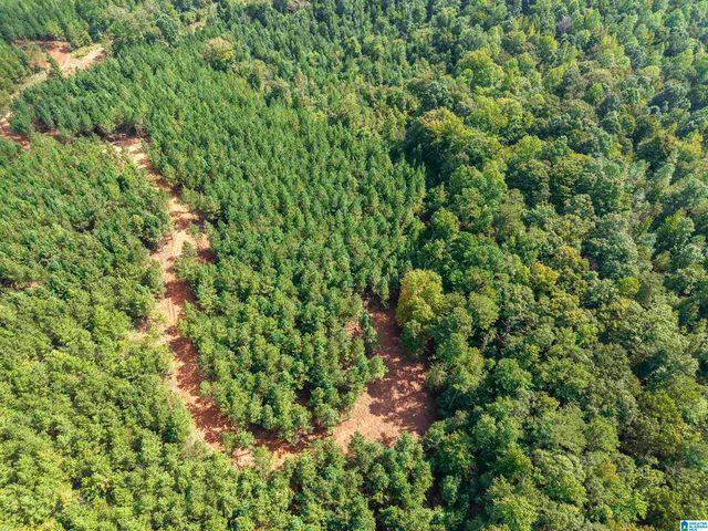 0 VALLEY ROAD, Goodwater, AL 35072