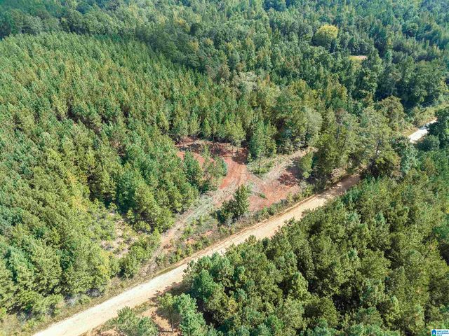 0 VALLEY ROAD, Goodwater, AL 35072