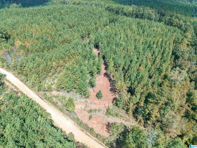 0 VALLEY ROAD, Goodwater, AL 35072