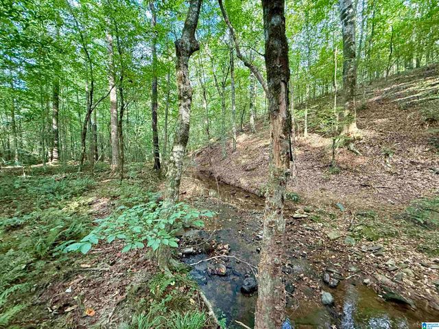 0 VALLEY ROAD, Goodwater, AL 35072