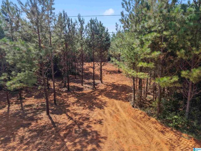0 VALLEY ROAD, Goodwater, AL 35072