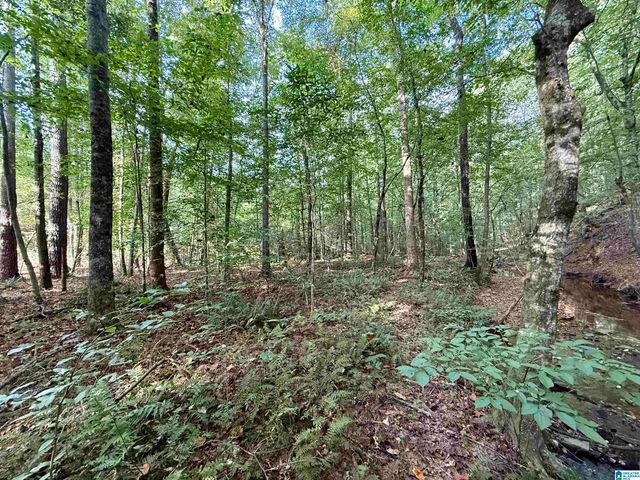 0 VALLEY ROAD, Goodwater, AL 35072