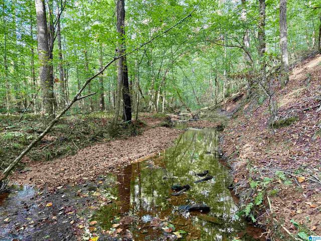 0 VALLEY ROAD, Goodwater, AL 35072