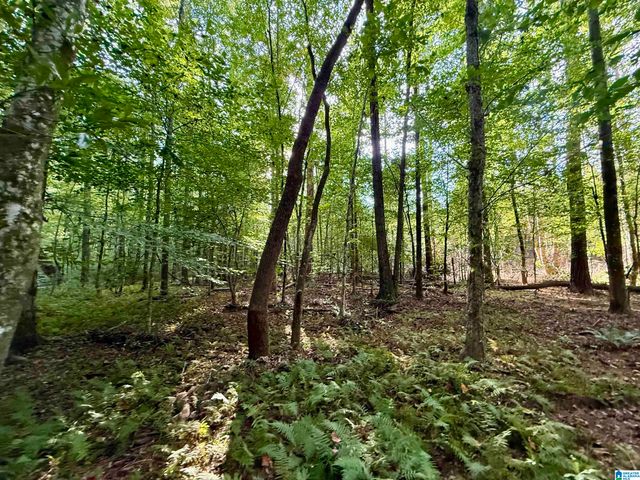 0 VALLEY ROAD, Goodwater, AL 35072