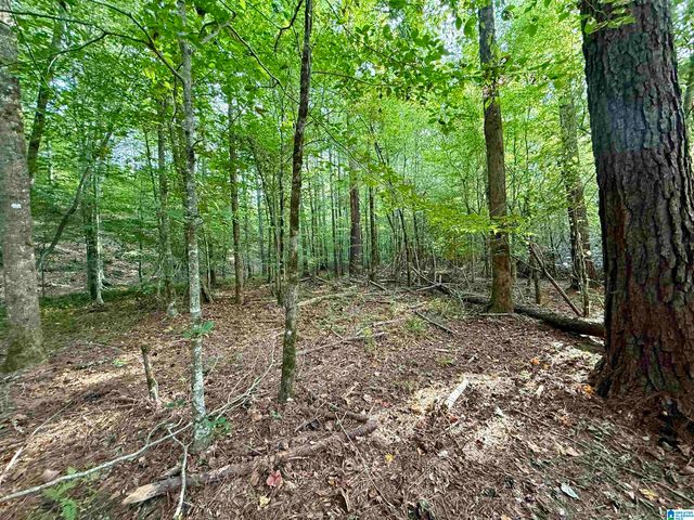 0 VALLEY ROAD, Goodwater, AL 35072