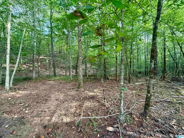 0 VALLEY ROAD, Goodwater, AL 35072