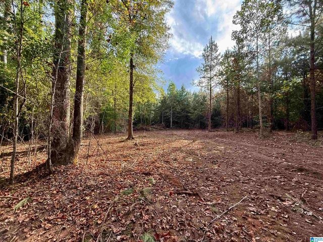 0 VALLEY ROAD, Goodwater, AL 35072