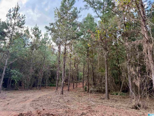 0 VALLEY ROAD, Goodwater, AL 35072