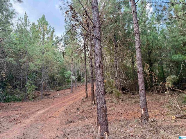 0 VALLEY ROAD, Goodwater, AL 35072