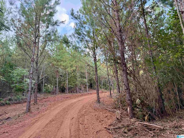 0 VALLEY ROAD, Goodwater, AL 35072