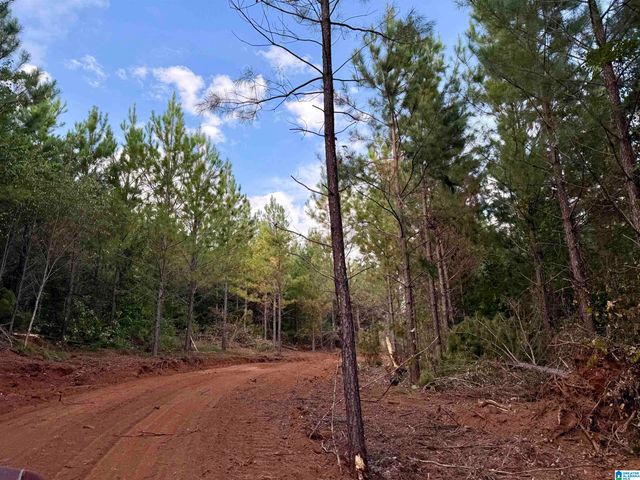 0 VALLEY ROAD, Goodwater, AL 35072