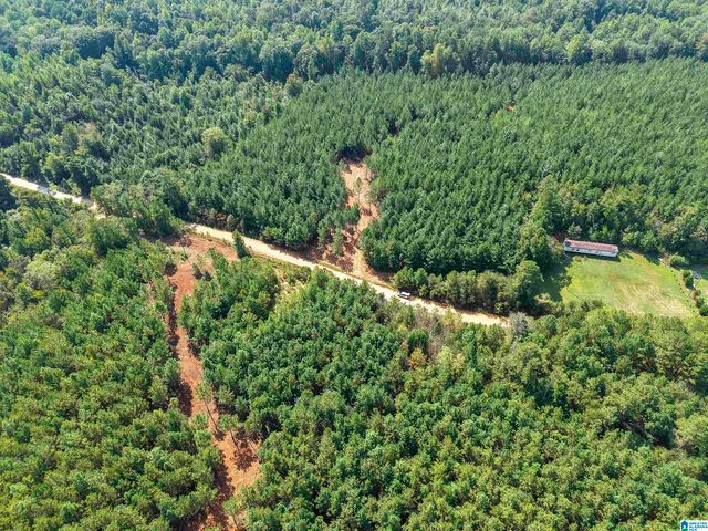 0 VALLEY ROAD, Goodwater, AL 35072