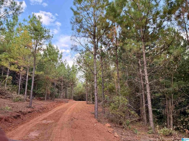 0 VALLEY ROAD, Goodwater, AL 35072