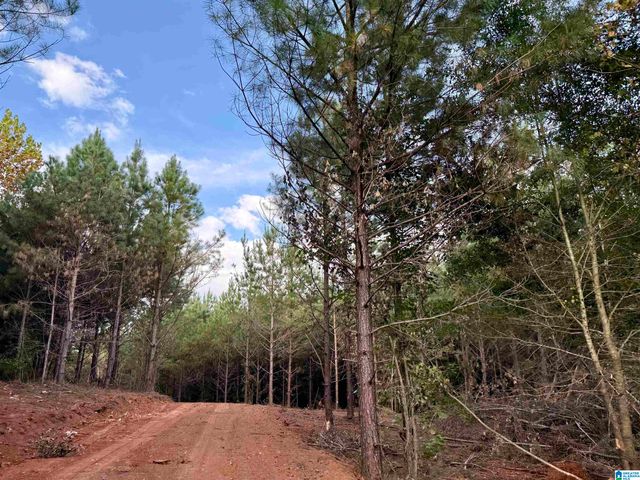 0 VALLEY ROAD, Goodwater, AL 35072