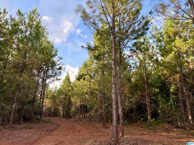 0 VALLEY ROAD, Goodwater, AL 35072