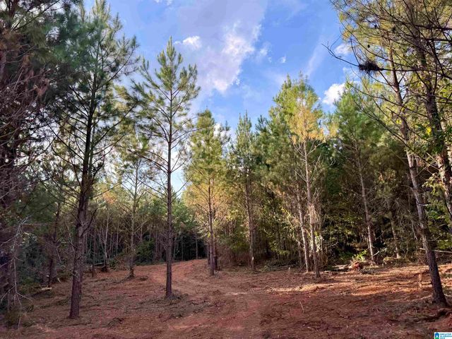 0 VALLEY ROAD, Goodwater, AL 35072