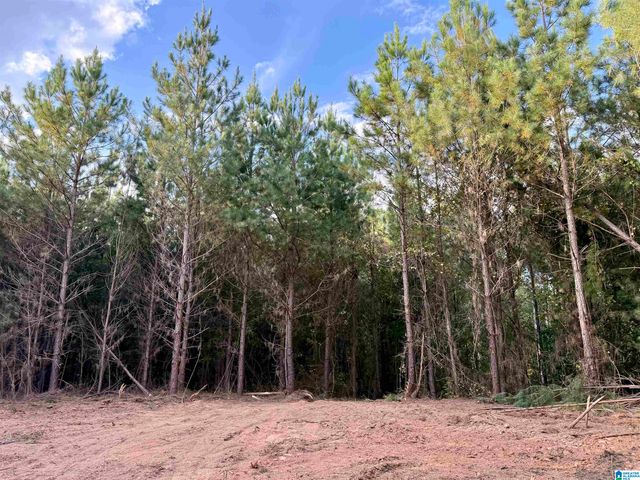 0 VALLEY ROAD, Goodwater, AL 35072