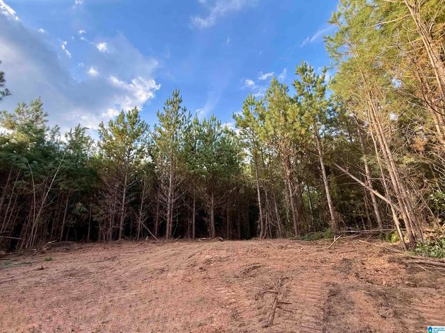 0 VALLEY ROAD, Goodwater, AL 35072