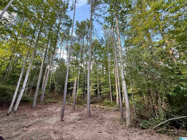 0 VALLEY ROAD, Goodwater, AL 35072