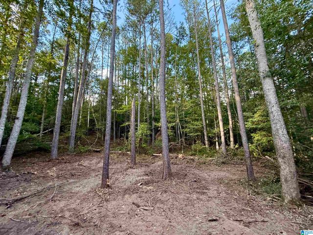 0 VALLEY ROAD, Goodwater, AL 35072