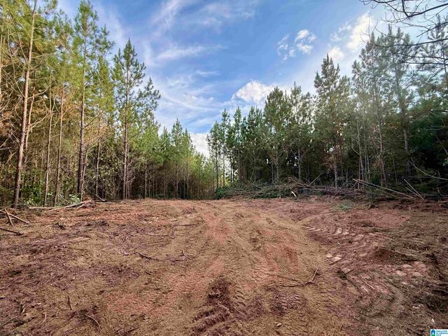 0 VALLEY ROAD, Goodwater, AL 35072