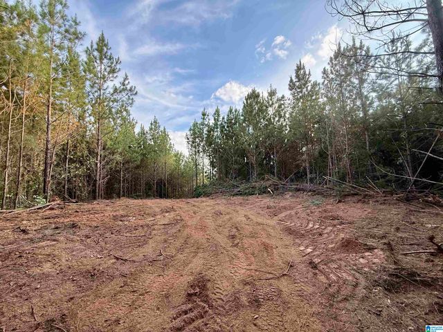 0 VALLEY ROAD, Goodwater, AL 35072