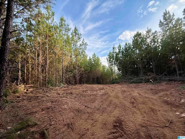 0 VALLEY ROAD, Goodwater, AL 35072