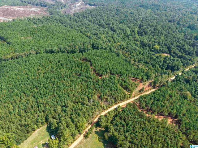 0 VALLEY ROAD, Goodwater, AL 35072
