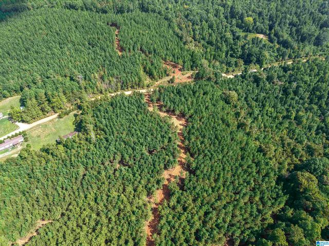 0 VALLEY ROAD, Goodwater, AL 35072