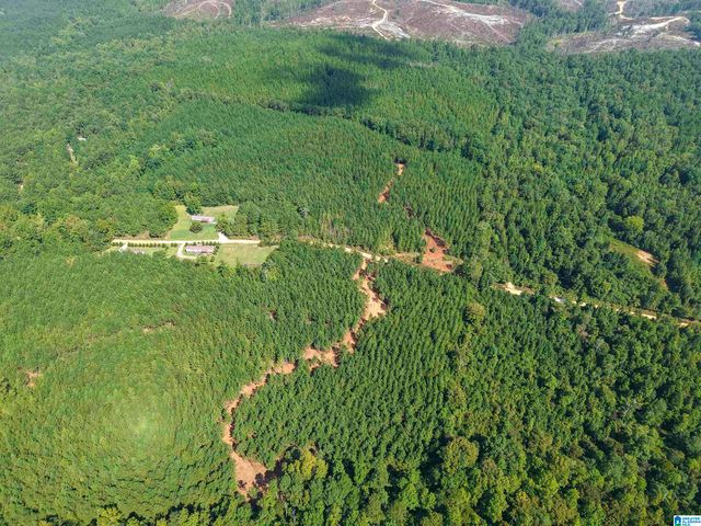 0 VALLEY ROAD, Goodwater, AL 35072