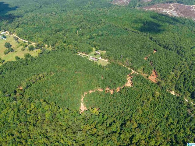 0 VALLEY ROAD, Goodwater, AL 35072