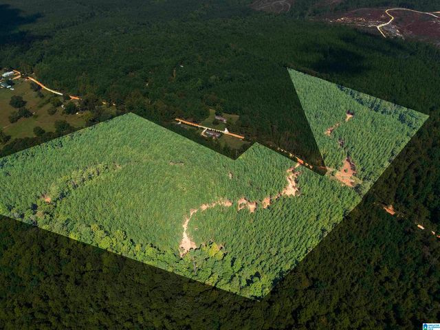 0 VALLEY ROAD, Goodwater, AL 35072