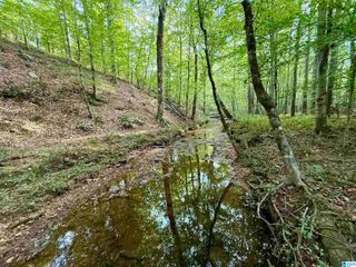 0 VALLEY ROAD, Goodwater, AL 35072