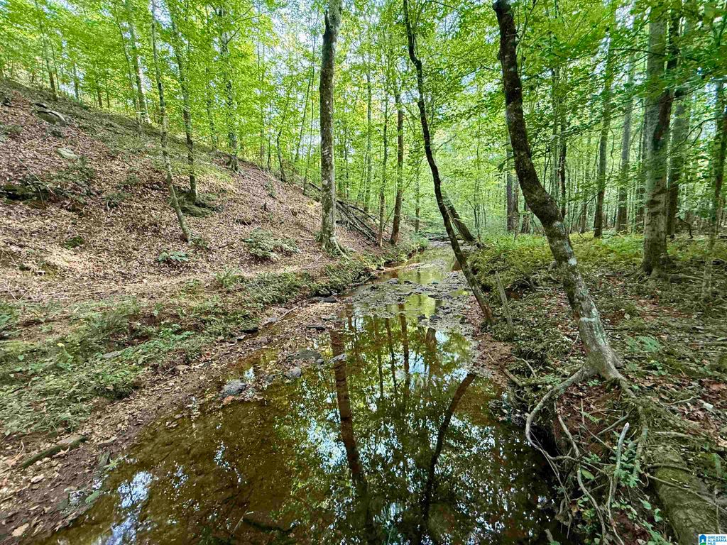 0 VALLEY ROAD, Goodwater, AL 35072