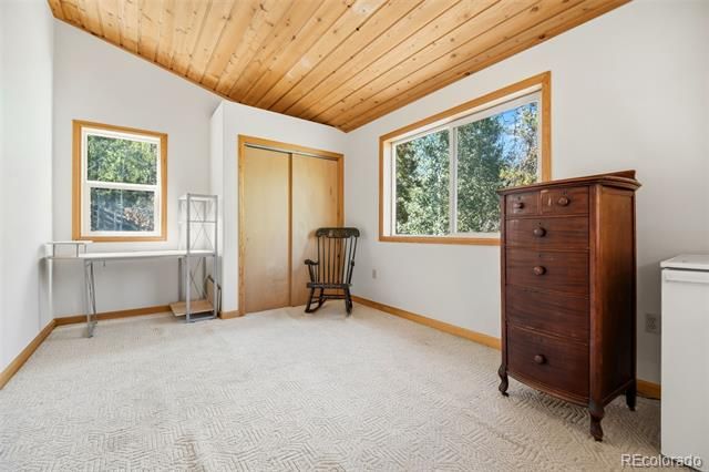 7101 County Road 43, Bailey, CO 80421