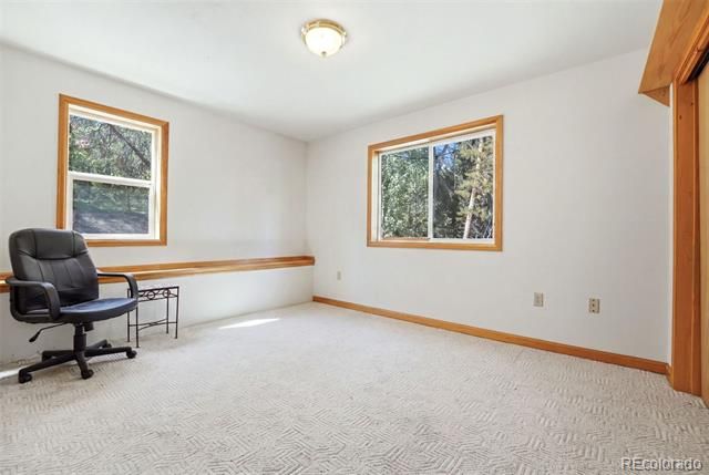 7101 County Road 43, Bailey, CO 80421