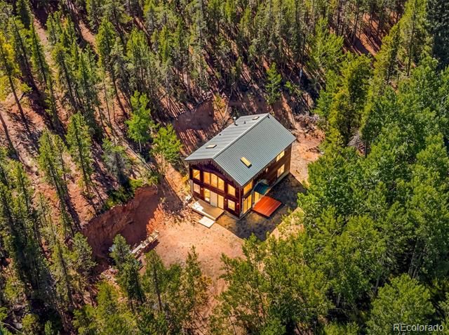 7101 County Road 43, Bailey, CO 80421