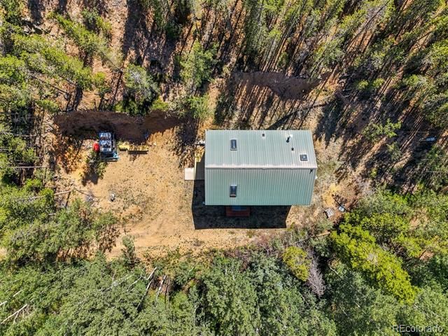 7101 County Road 43, Bailey, CO 80421
