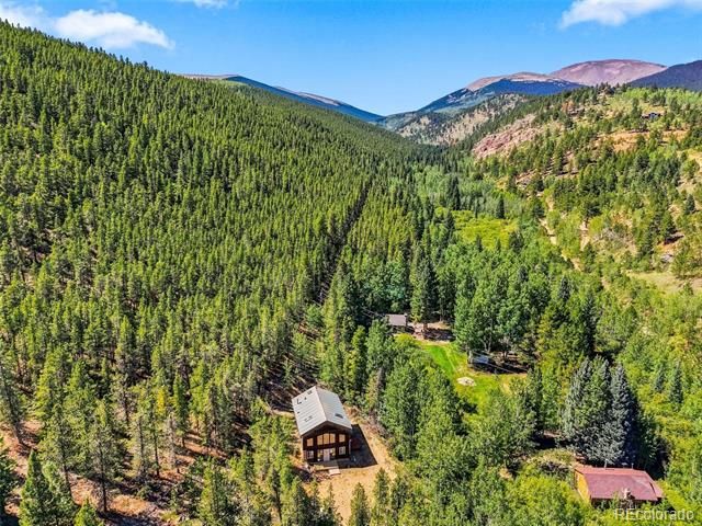 7101 County Road 43, Bailey, CO 80421