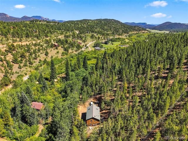7101 County Road 43, Bailey, CO 80421