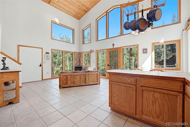 7101 County Road 43, Bailey, CO 80421