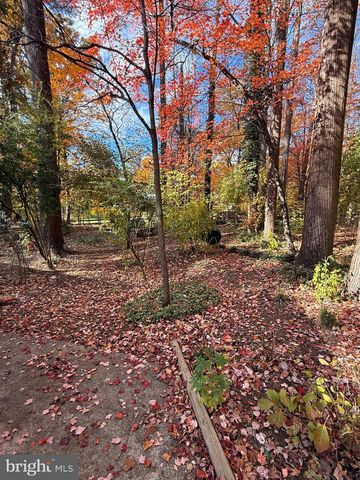 11512 LE HAVRE DR, Potomac, MD 20854