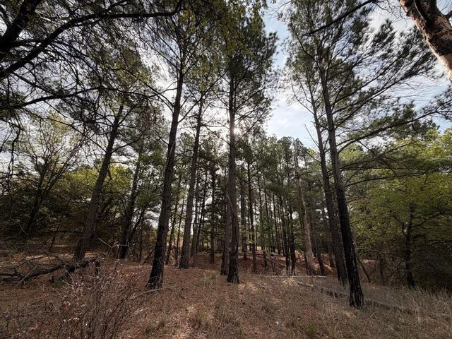 2548 County Road 2690, Alvord, TX 76225
