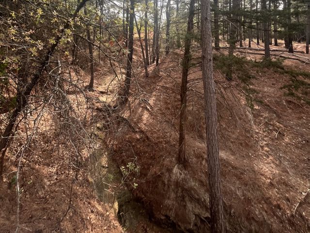 2548 County Road 2690, Alvord, TX 76225