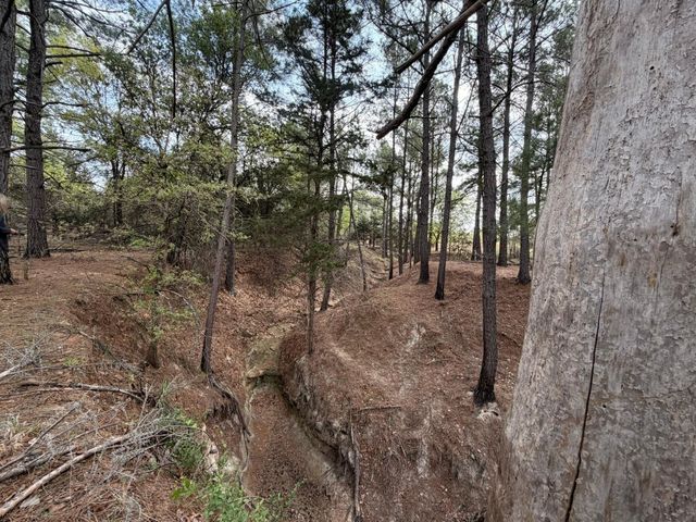 2548 County Road 2690, Alvord, TX 76225