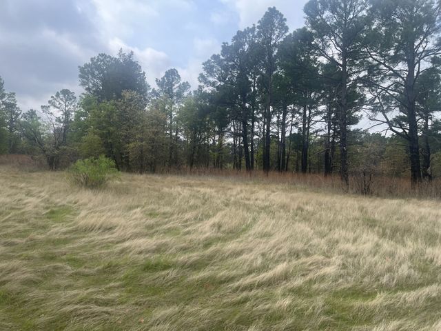 2548 County Road 2690, Alvord, TX 76225