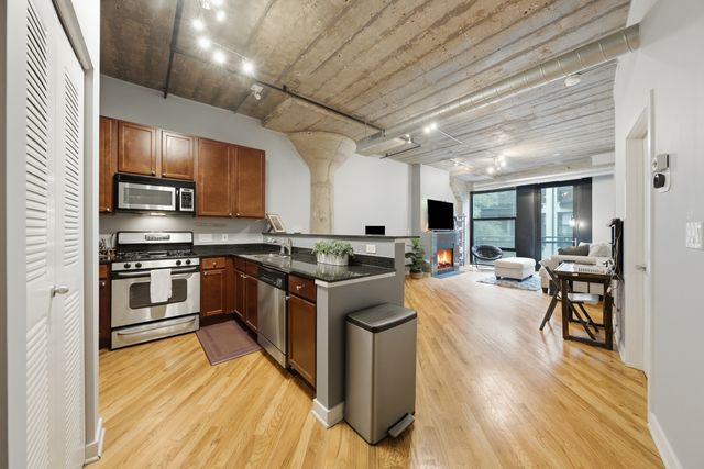 1111 W 14th Place 216, Chicago, IL 60608