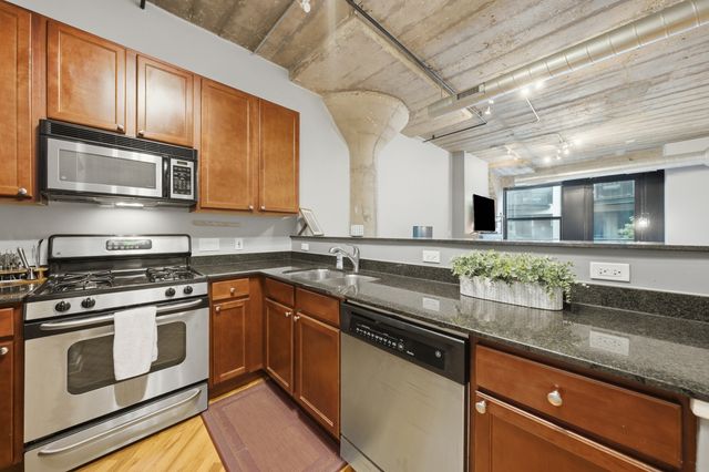 1111 W 14th Place 216, Chicago, IL 60608