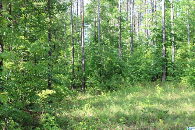 0 PROVIDENCE CHURCH ROAD, Rockford, AL 35136