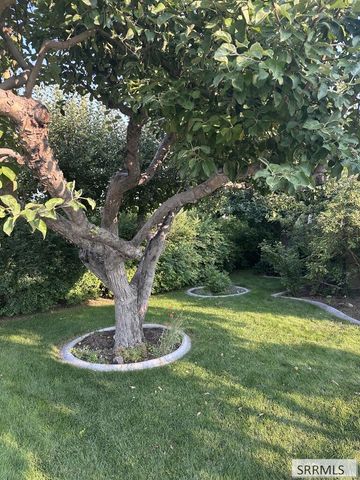 394 W 19th Street, Idaho Falls, ID 83402